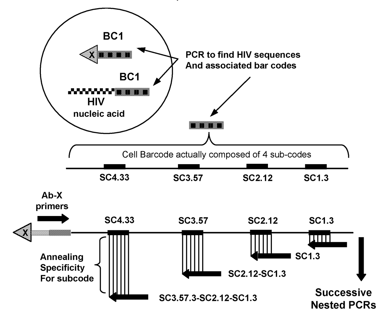 Methods for identifying multiple epitopes in selected sub-populations of cells