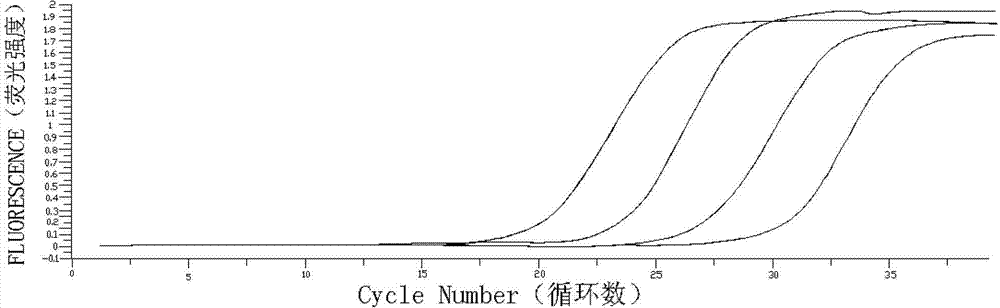 Kit for detecting mRNA expression quantity of M BCR fusion gene