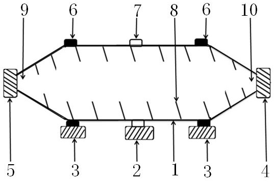 Superheated steam fixation device and method