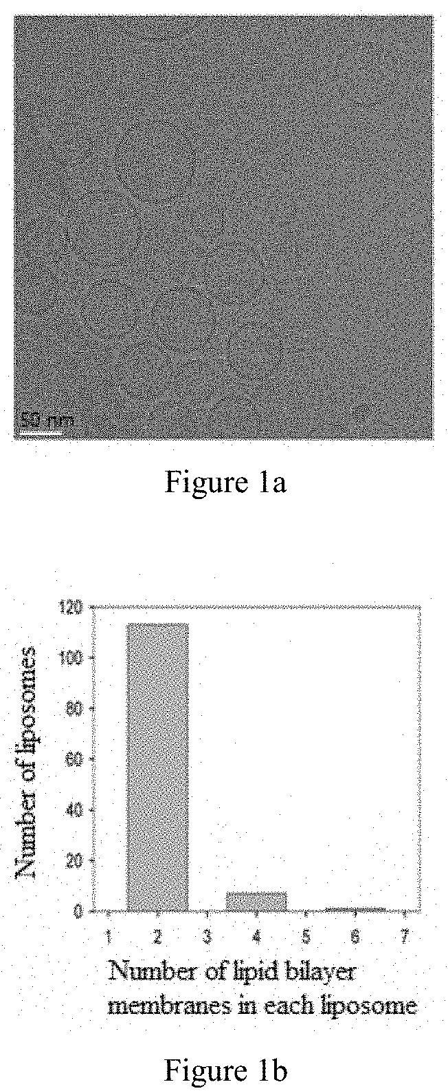 Use of liposomes for treatment of chronic viral hepatitis b