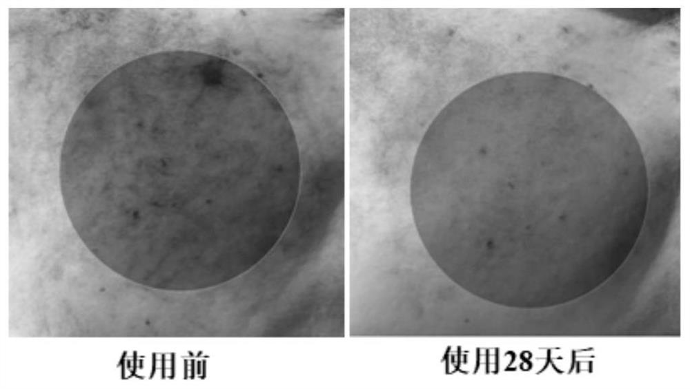 Repair anti-aging composition and preparation method thereof