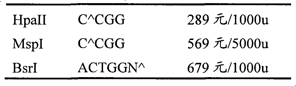 Method for identifying gene polymorphism rs2274976 of human MTHFR