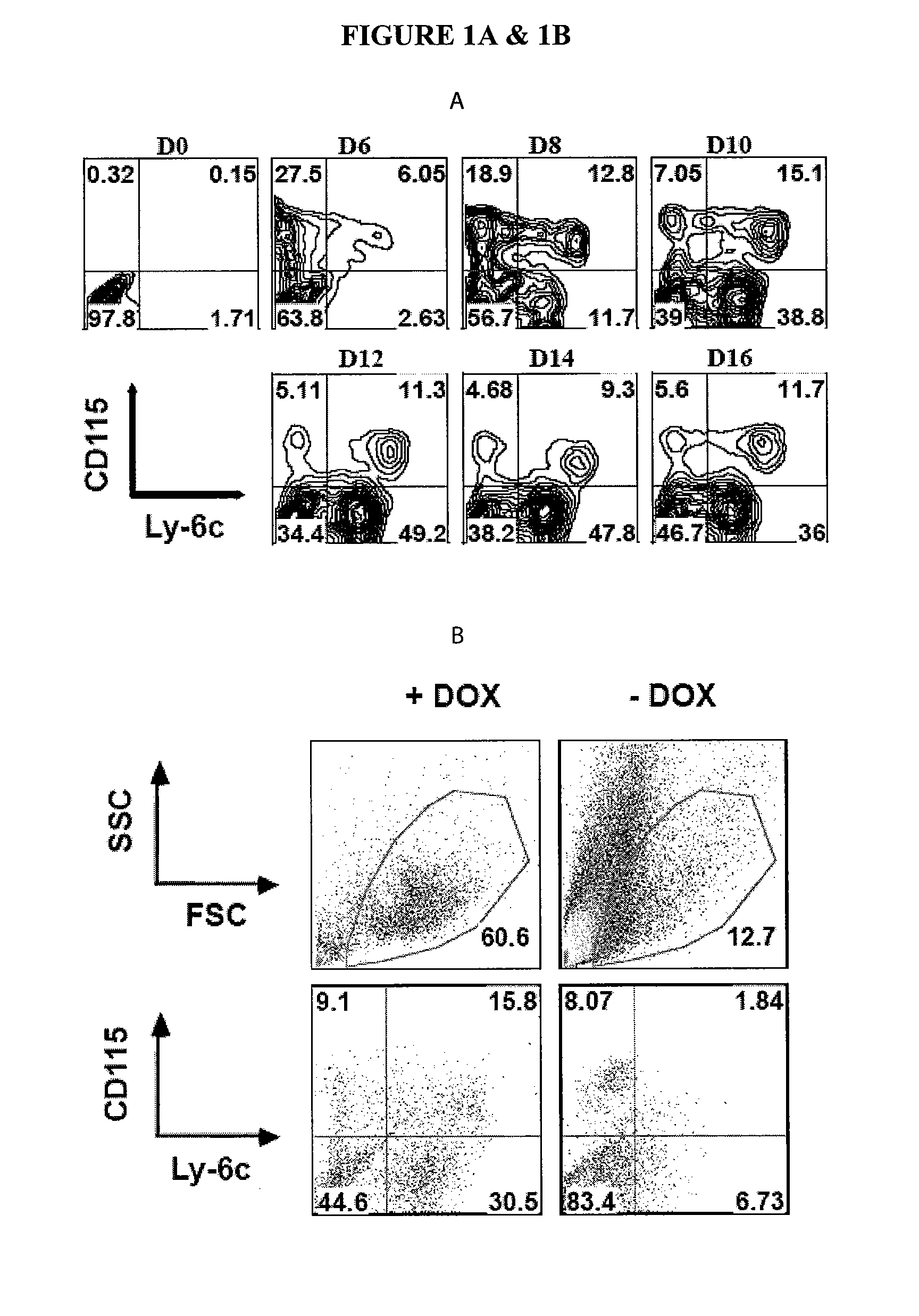 In Vitro Generation of Myeloid Derived Suppressor Cells