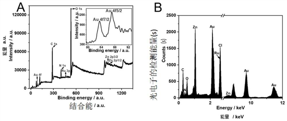 Probe set for detecting SARS-CoV-2 RNA, ECL biosensor and preparation method and application thereof