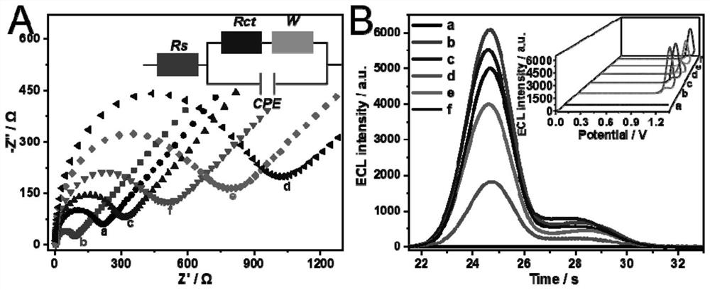 Probe set for detecting SARS-CoV-2 RNA, ECL biosensor and preparation method and application thereof