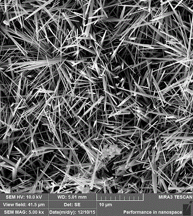 Method for preparing mullite honeycomb ceramic carrier with all crystal whisker structure