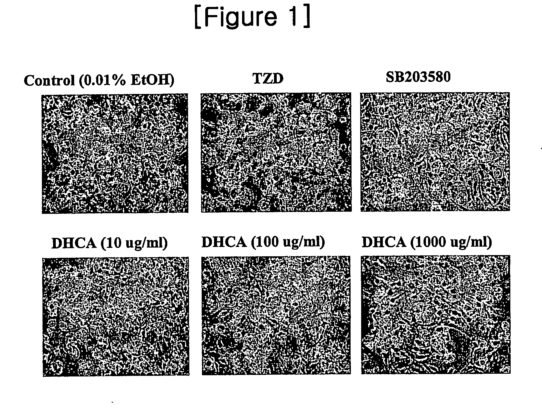 Composition comprising the alcohol compound isolated from the extract of cucurbitaceae family plant having anti-adipogenic and anti-obesity activity