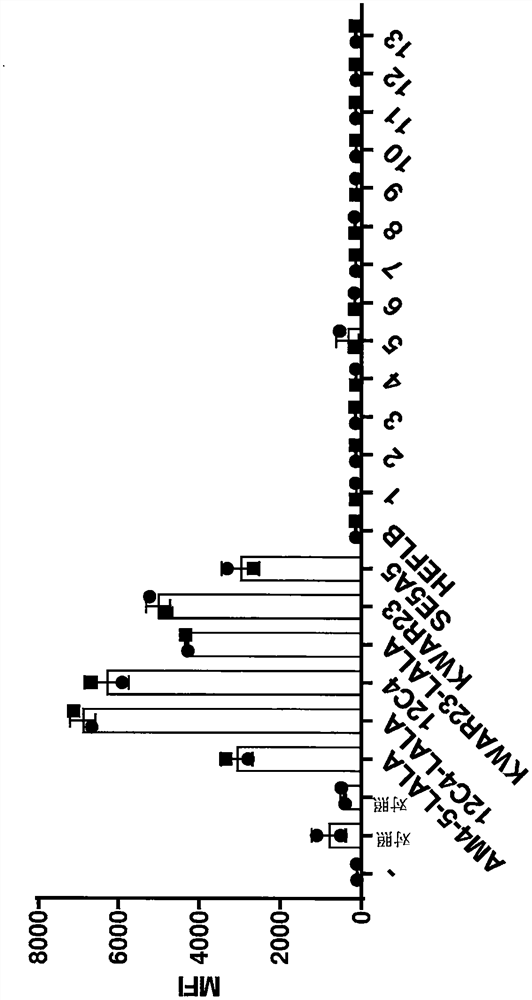 HUMANIZED ANTI-SIRPalpha ANTIBODIES