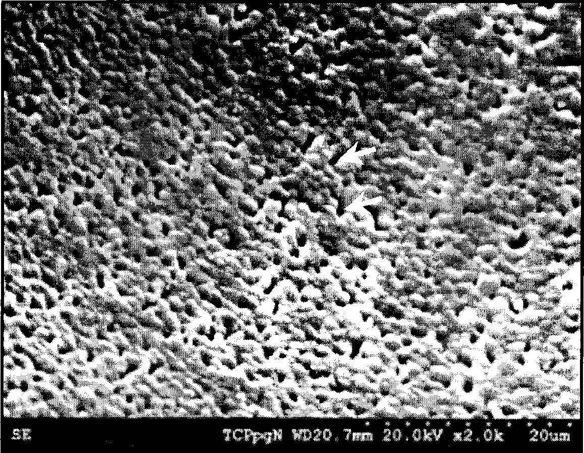 Micropore ceramics and method for sustained-release of medicament or biological preparation and use thereof