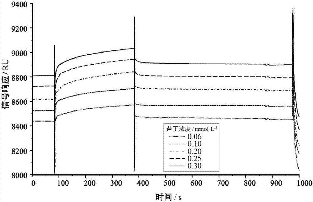 SPR (surface plasma resonance) analyzing method for determining rutin and protein binding level