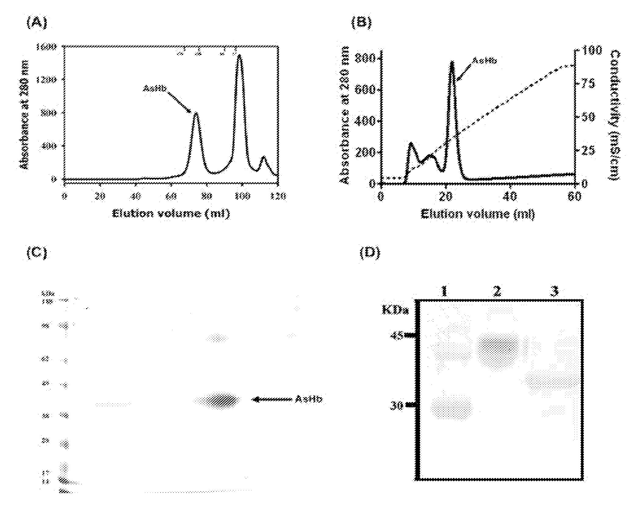 Suppression of allergic inflammation by ascaris heme-binding protein (HBP)