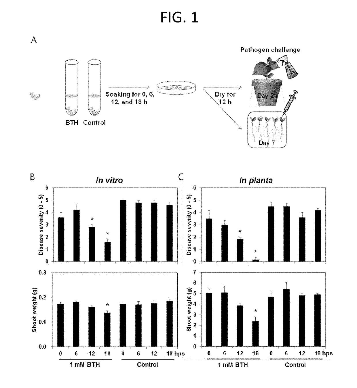 Method for eliciting plant immune responses by seed priming of heat-treated Bacillus culture solution