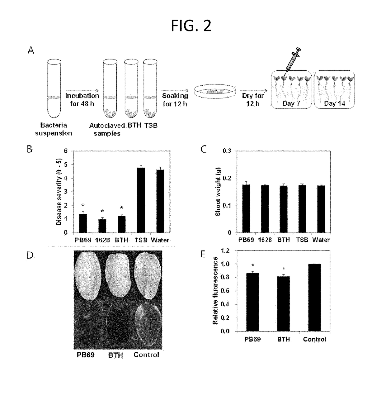 Method for eliciting plant immune responses by seed priming of heat-treated Bacillus culture solution