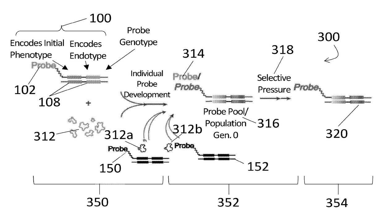 Systems and methods for proteomic activity analysis using dna-encoded probes