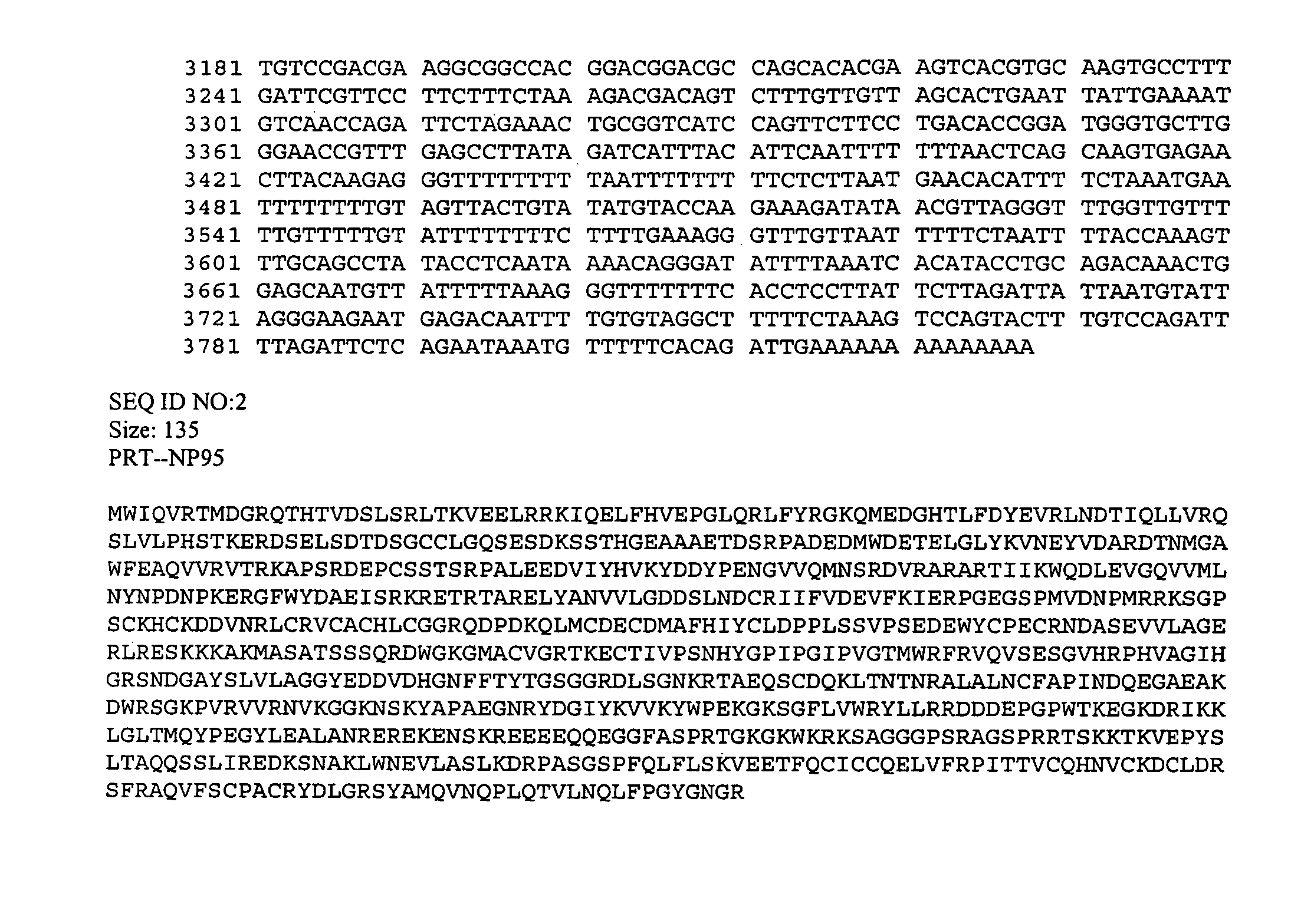 NP95: methods of assaying for cell cycle modulators