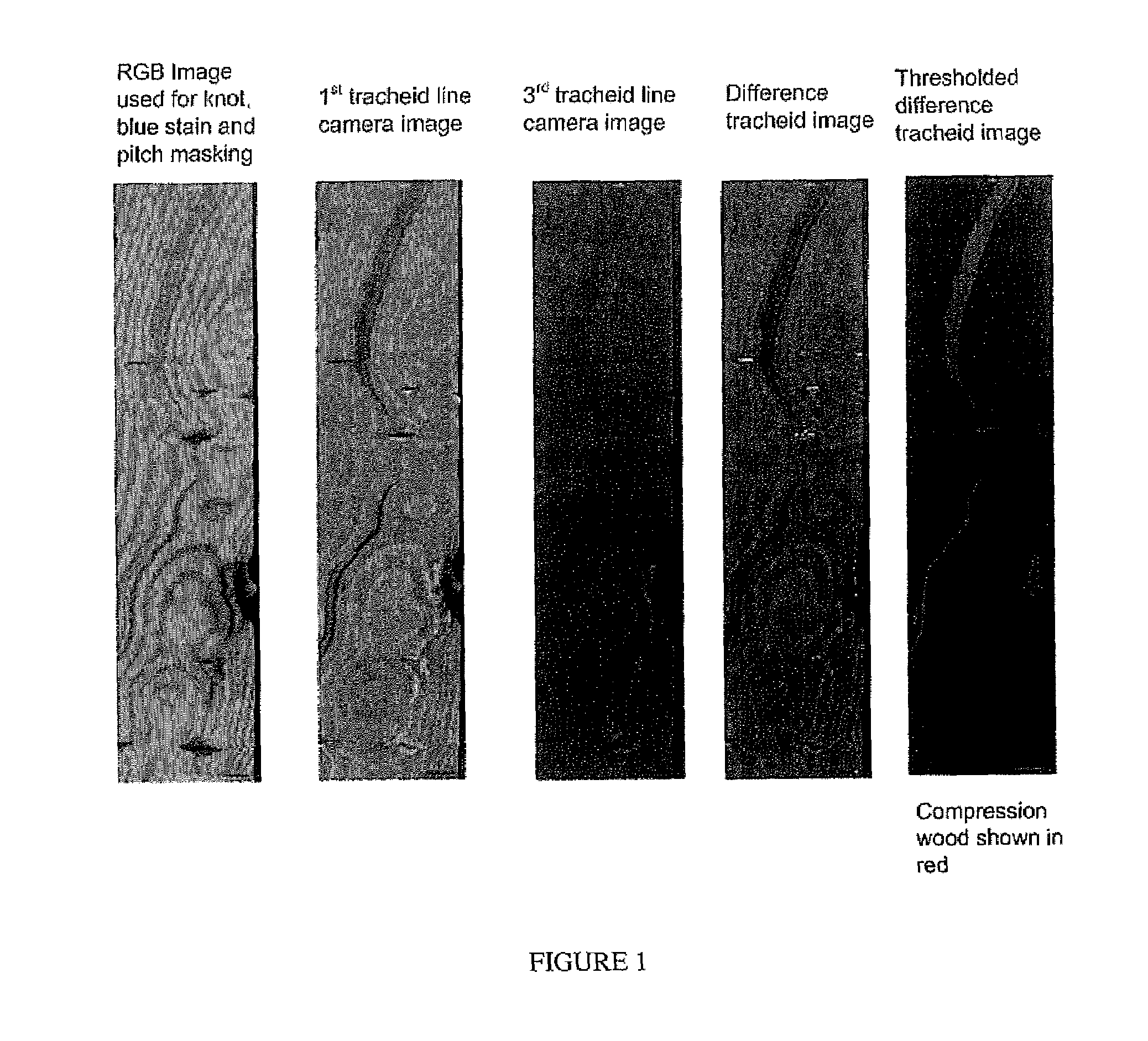 Methods for detecting compression wood in lumber