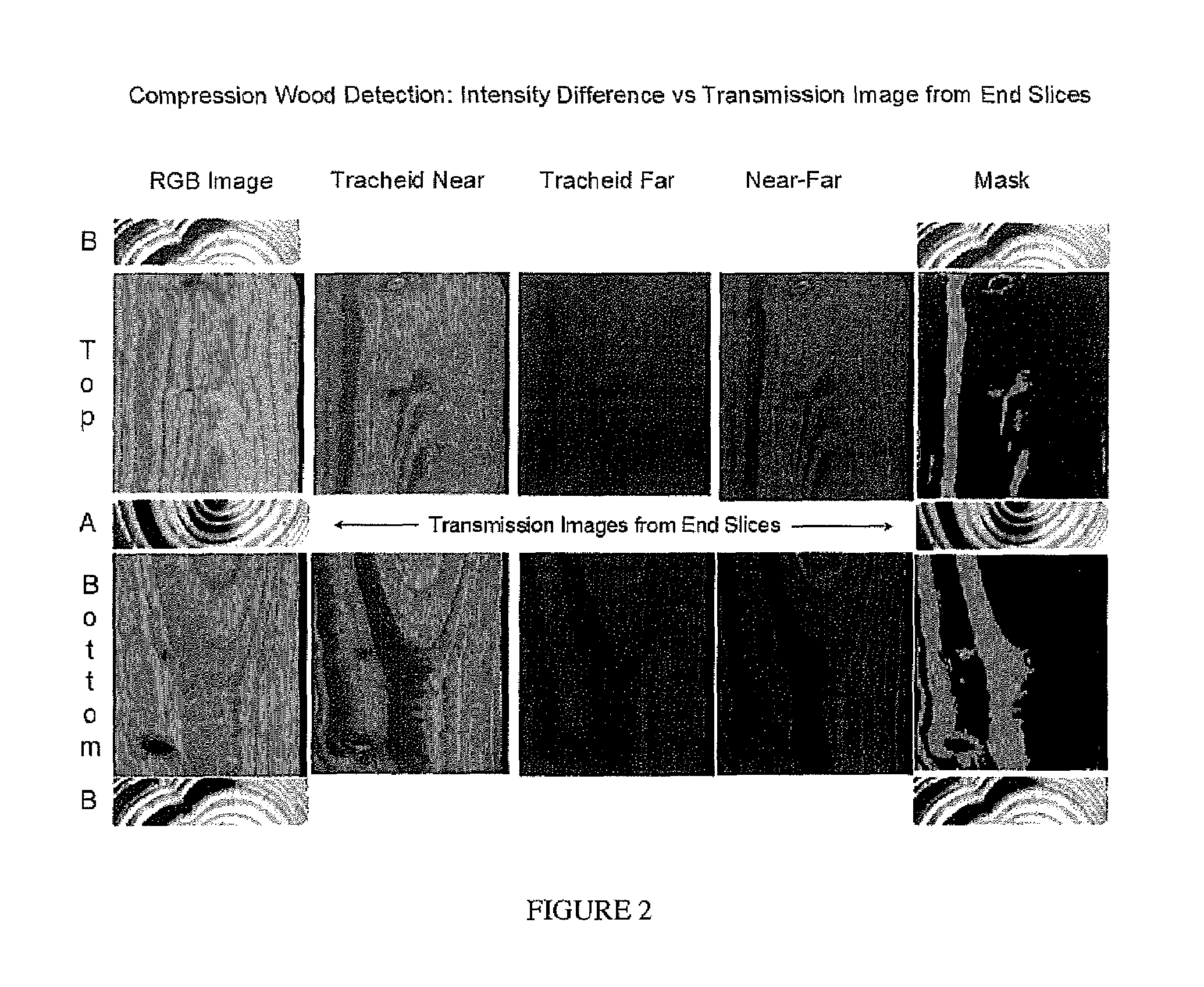 Methods for detecting compression wood in lumber