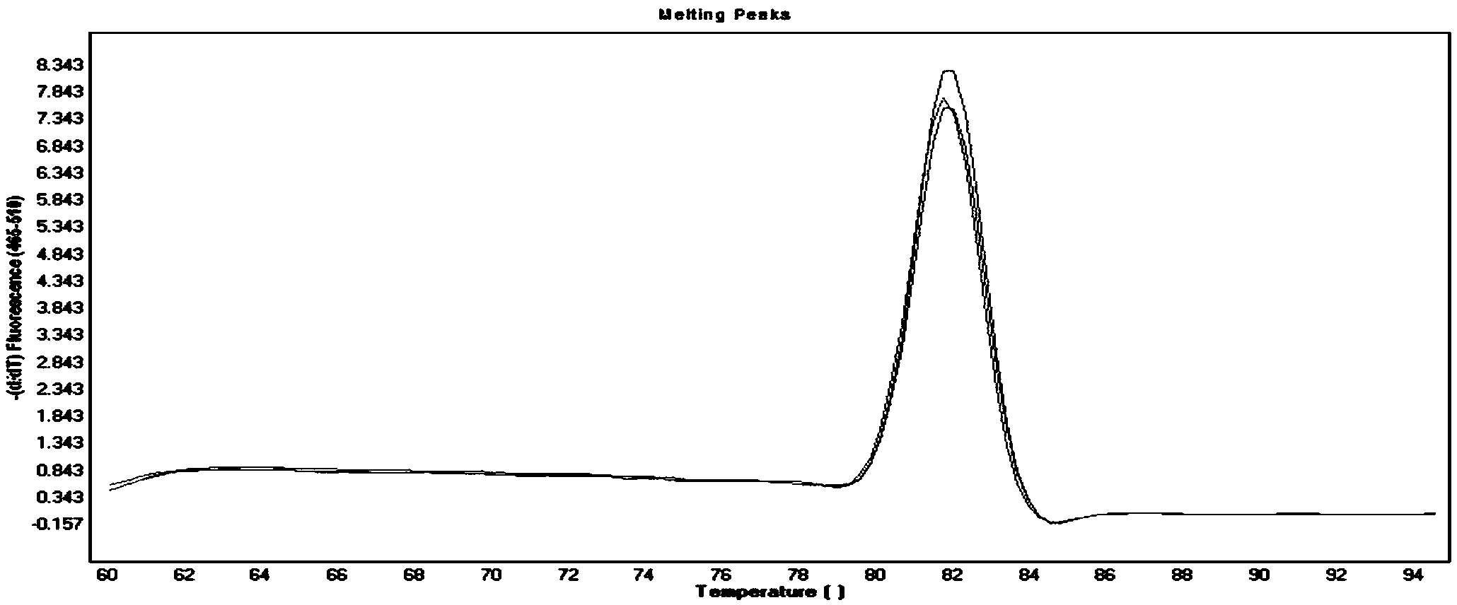 Kit and method for detecting human parvovirus B19