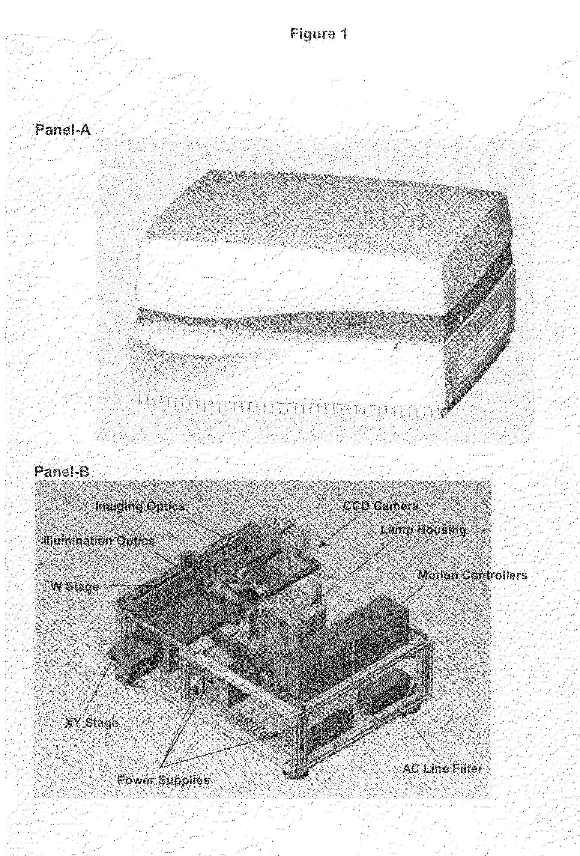 Diagnostic imaging device for the analysis of circulating rare cells