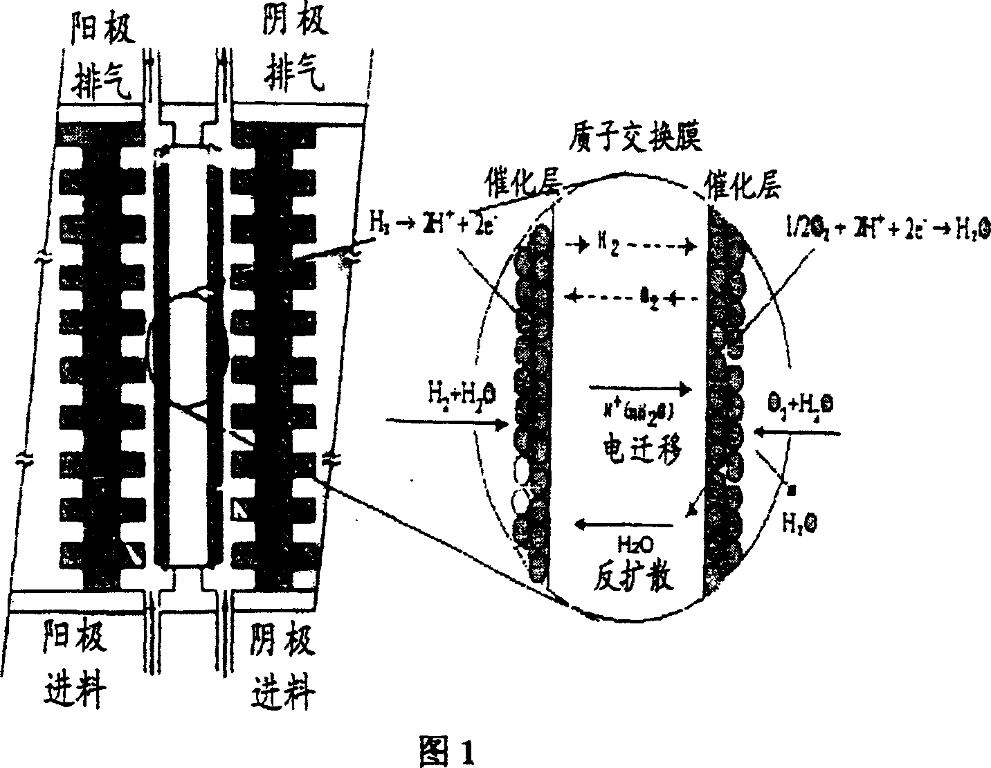 Proton exchange film fuel cell flow field structure