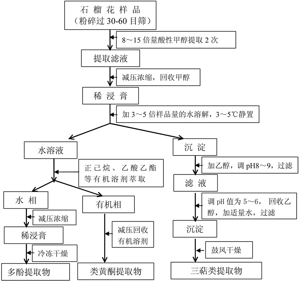 Method of simultaneously extracting polyphenol, flavonoids and triterpenes from pomegranate flowers