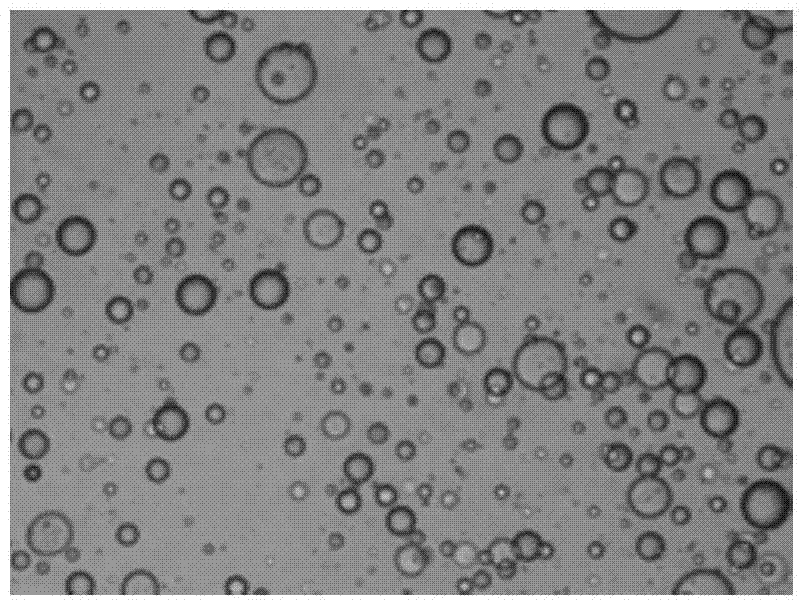 Preparation method of microcapsule-supported metal complex catalyst