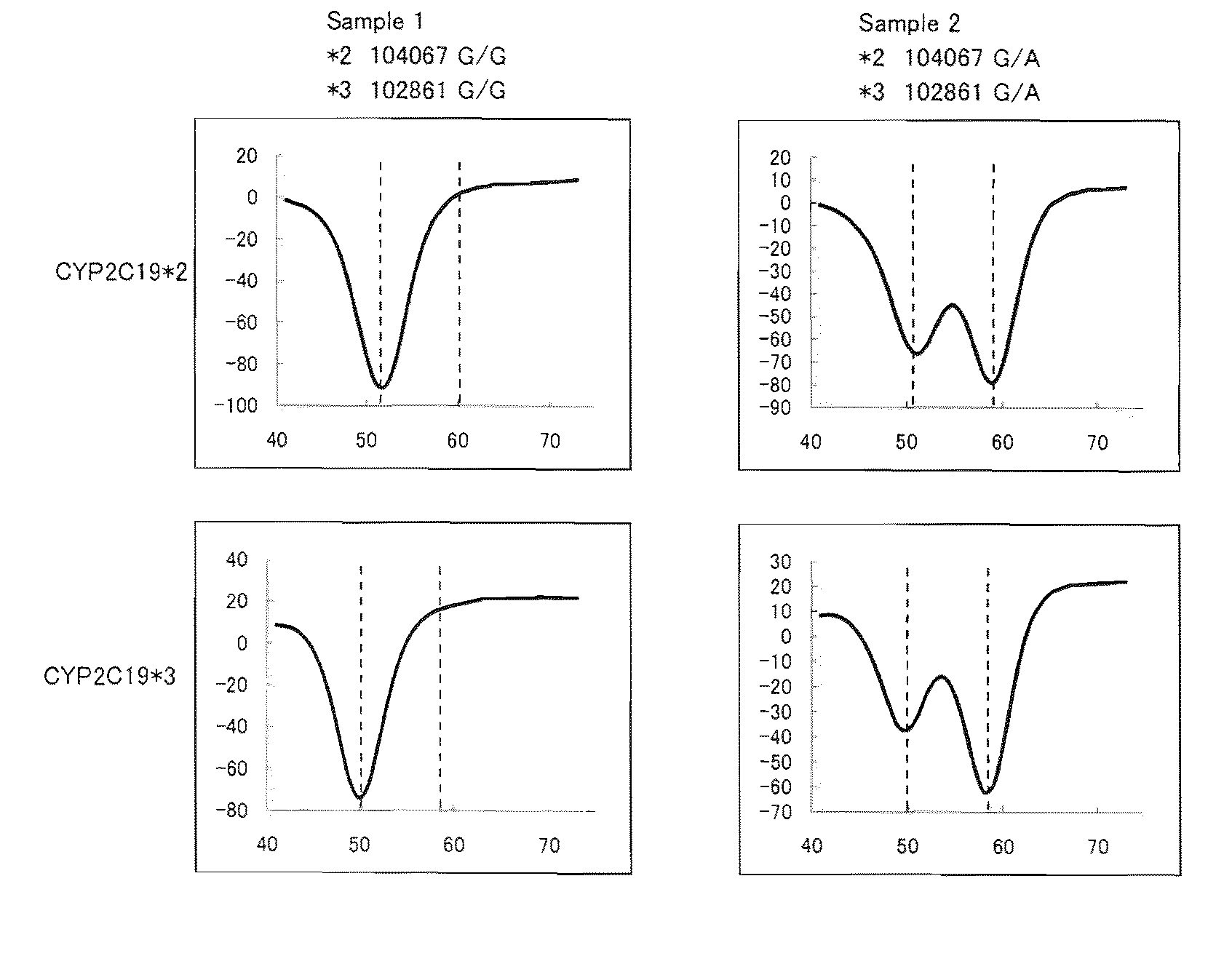 Primer set for amplifying cyp2c19 gene, reagent for amplifying cyp2c19 gene containing the same, and the uses thereof