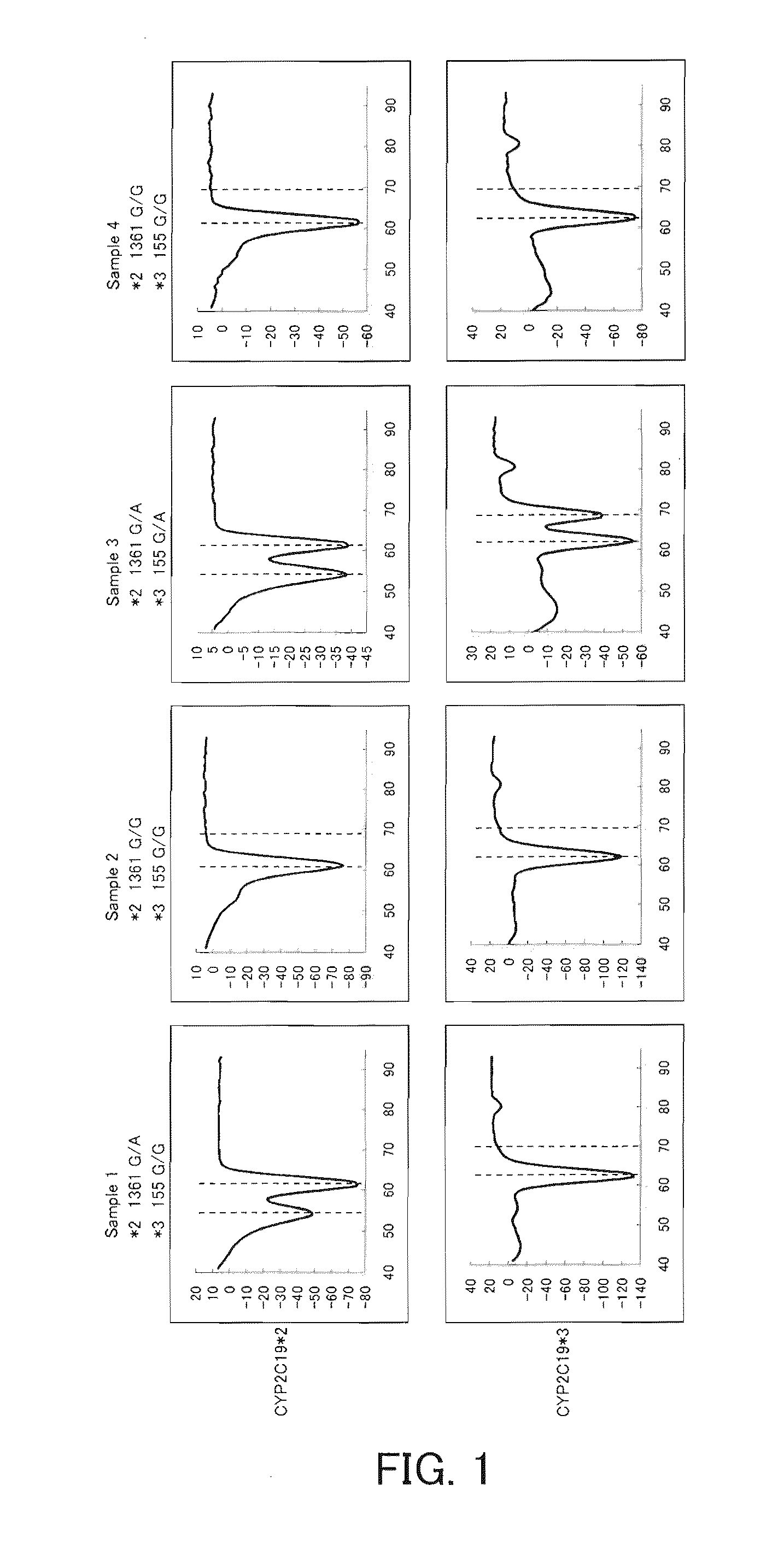 Primer set for amplifying cyp2c19 gene, reagent for amplifying cyp2c19 gene containing the same, and the uses thereof