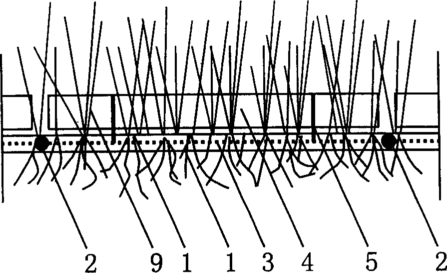 Method and system for floating composite botanical zone in situ biologically rehabilitating water body