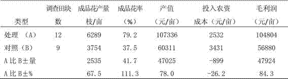 Planting method for improving commodity rate of blue hydrangea