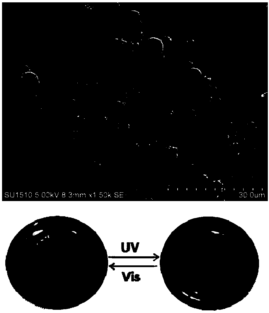 Preparation method of sulfydryl chitosan photochromic microcapsule and material prepared from sulfydryl chitosan photochromic microcapsule and application thereof