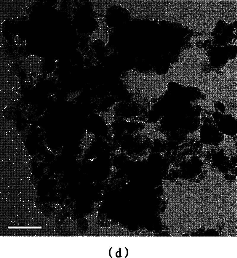 Method for preparing NaA molecular sieve membrane through induction of nanocrystal seeds