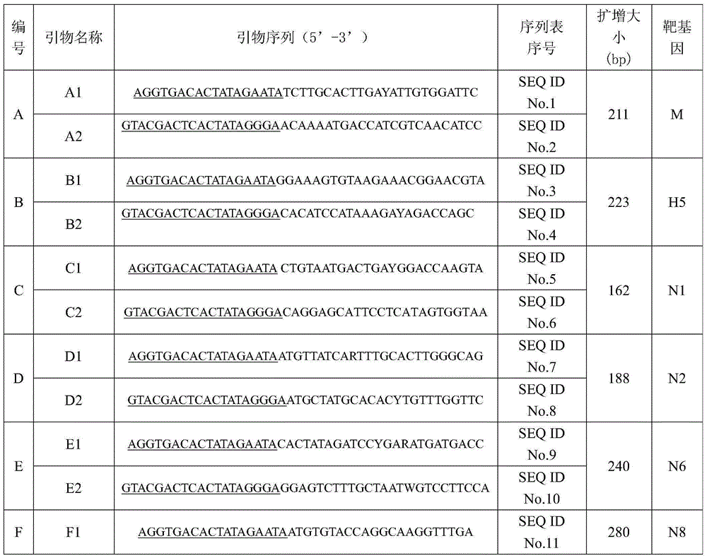 GeXP rapid detection kit capable of identifying H5 subtype avian influenza virus and four different NA subtypes thereof at the same time