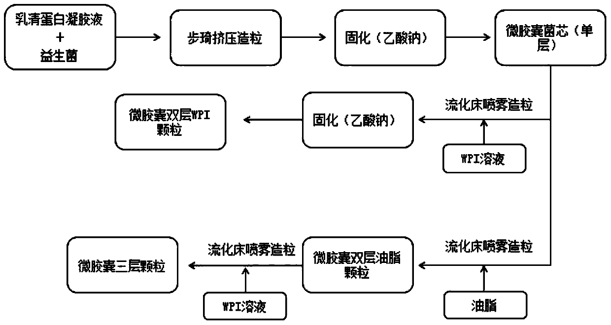 Preparation method ofprobiotic microcapsules by extruding granulation method and product prepared by method