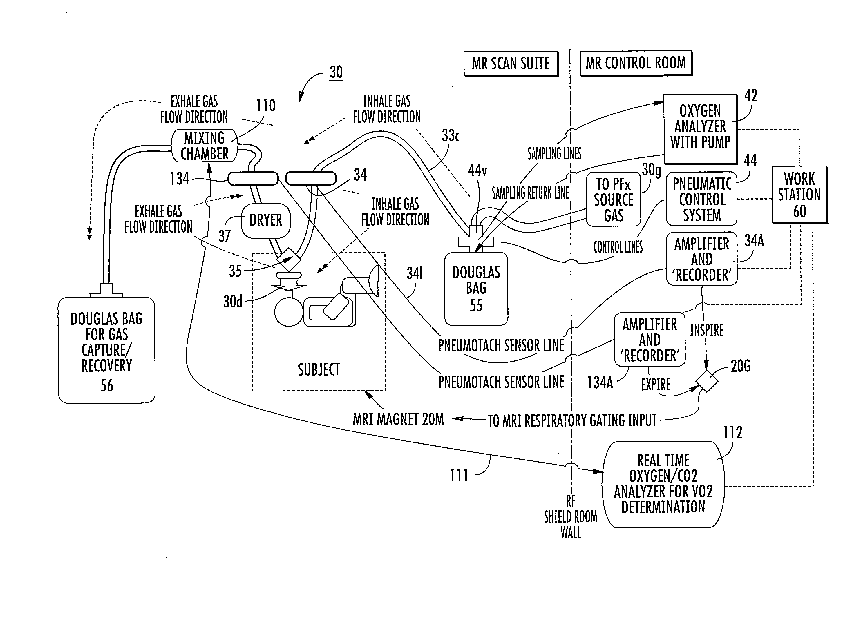 Systems, methods, compositions and devices for in vivo magnetic resonance imaging of lungs using perfluorinated gas mixtures