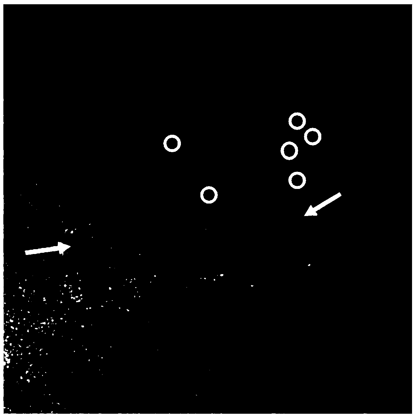 Method for preparing support-type cobalt oxide catalyst