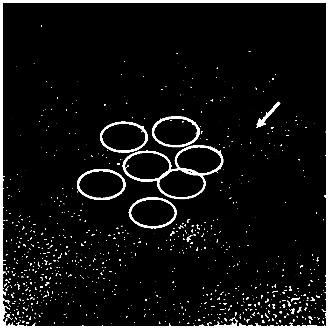 Method for preparing support-type cobalt oxide catalyst