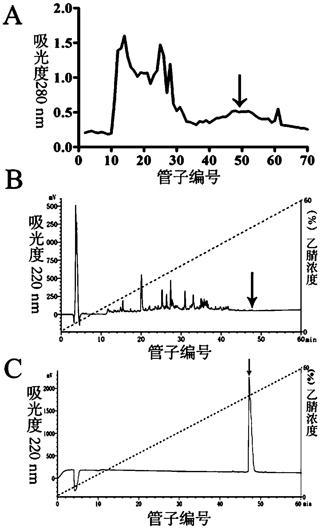 Novel antioxidant active polypeptide OA-VI12 and preparation method and application thereof