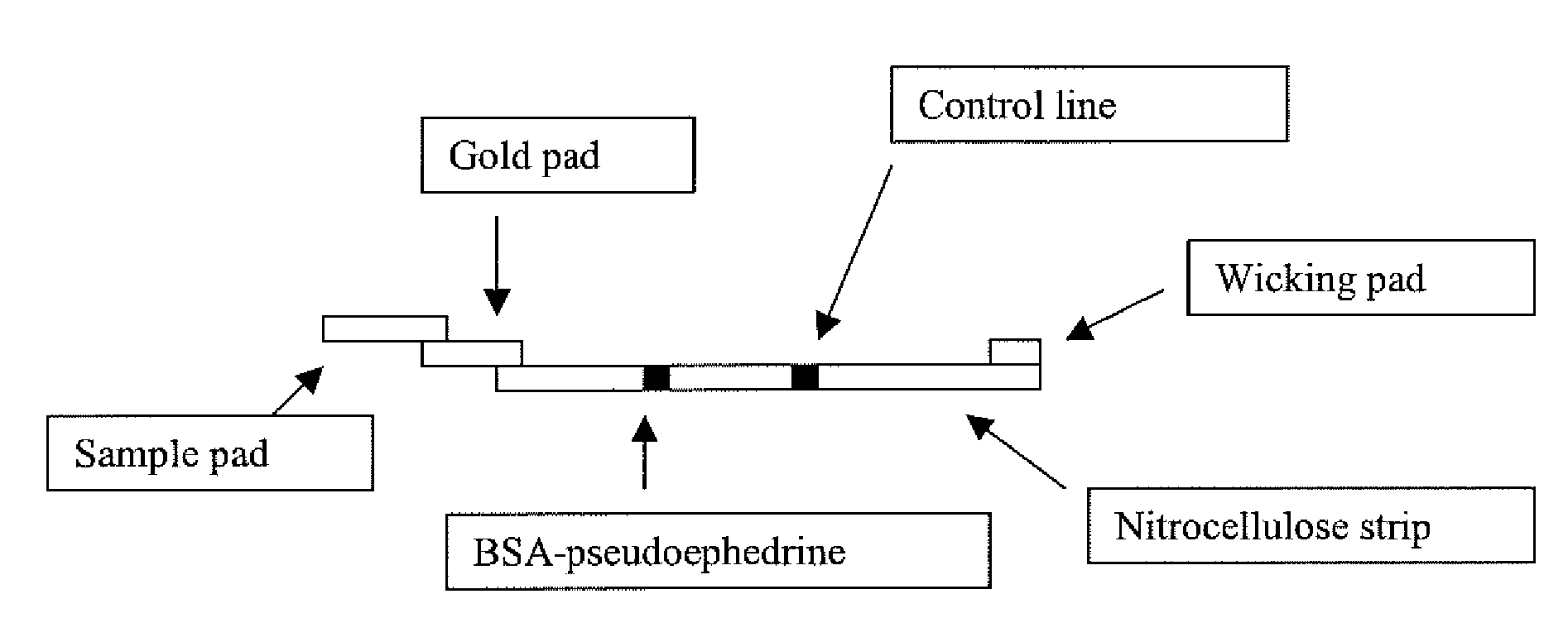 Detection of Methamphetamine Group Drugs