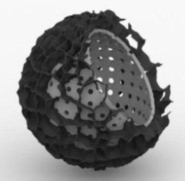 new style  <sub>2</sub> Coated mesoporous hollow carbon sphere composite material and its preparation method and application in supercapacitor