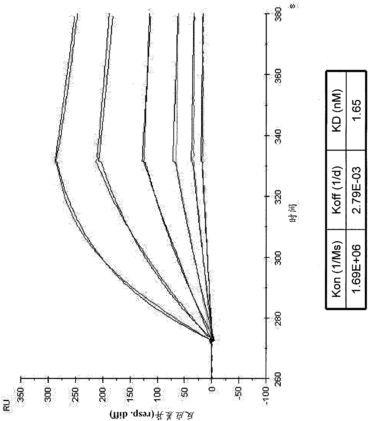 Novel anti-DR5 antibody