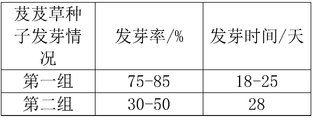 Method for increasing germination rate of achnatherum splendens seeds