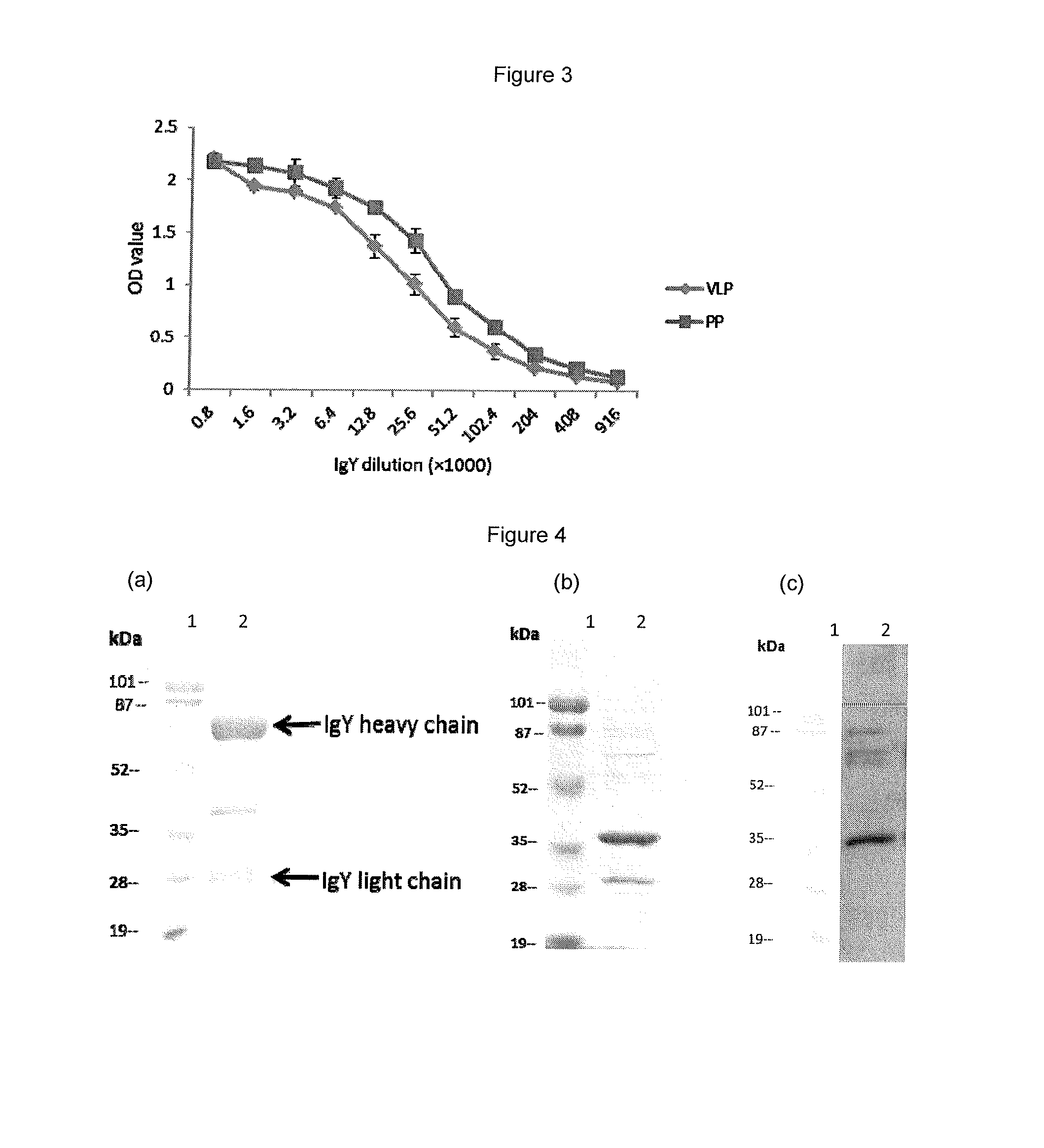 IgY From Norovirus P Particles And Their Derivatives