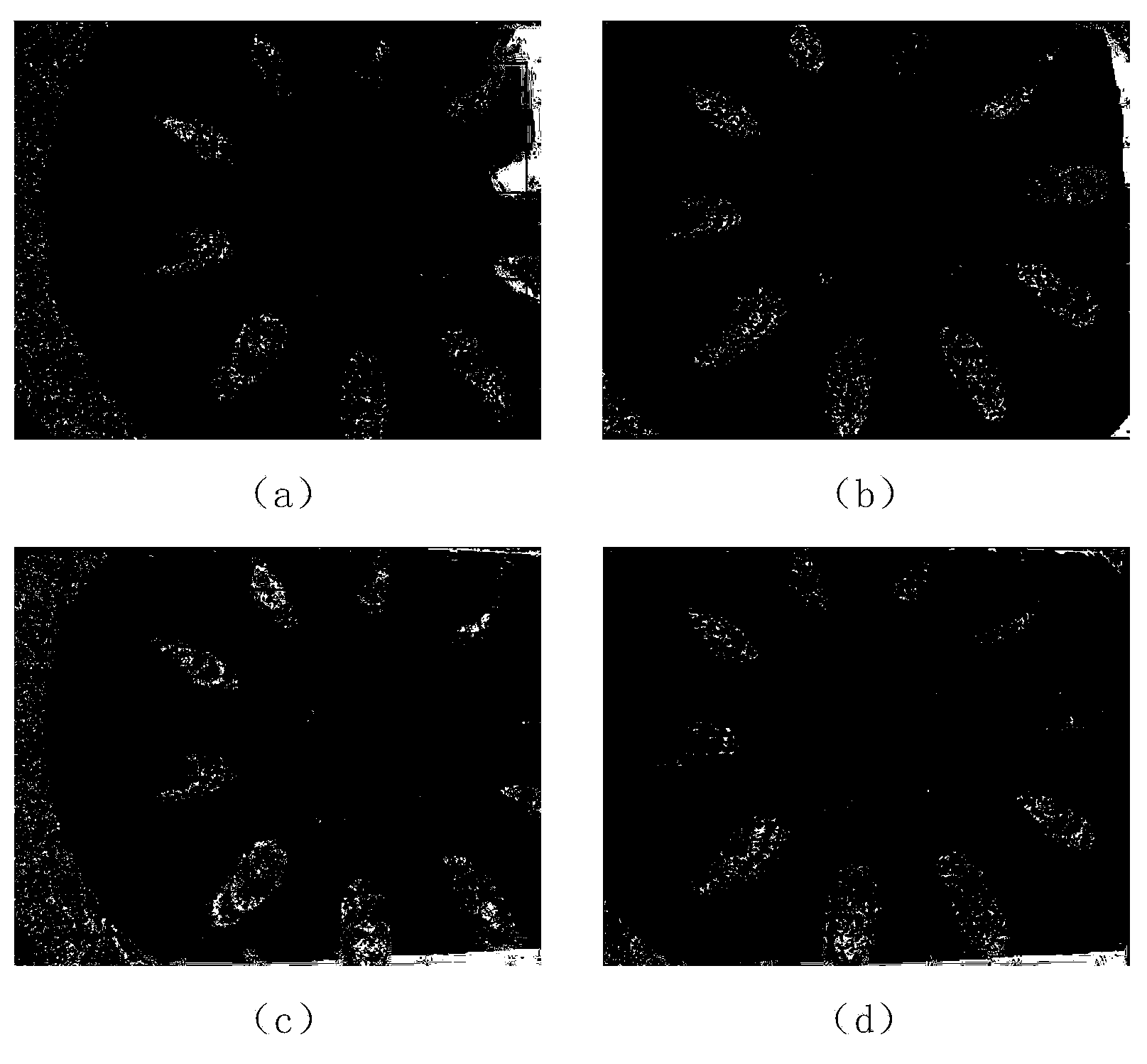 Method for adjusting accuracy of area scanning three-dimensional measuring system in real time