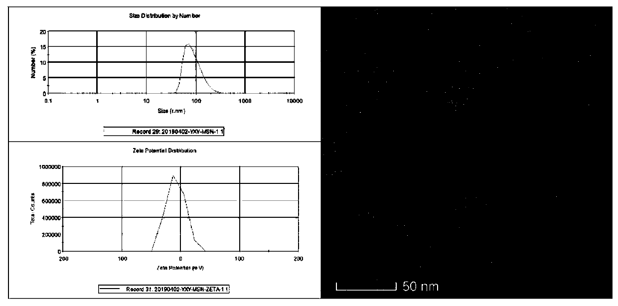 PH (potential of hydrogen) responsive graphene oxide nano-sheet coated mesoporous silicon dioxide drug double-loaded composite nanoparticle and preparation method