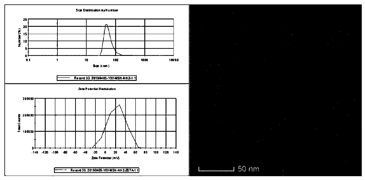 PH (potential of hydrogen) responsive graphene oxide nano-sheet coated mesoporous silicon dioxide drug double-loaded composite nanoparticle and preparation method