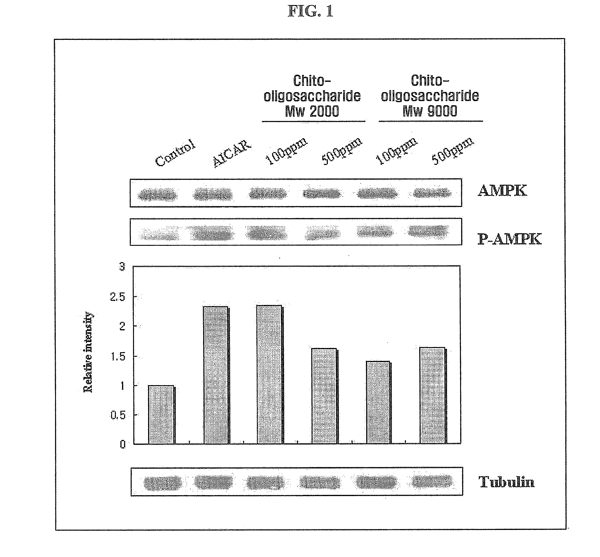 Ampk potentiator containing chito-oligosaccharide