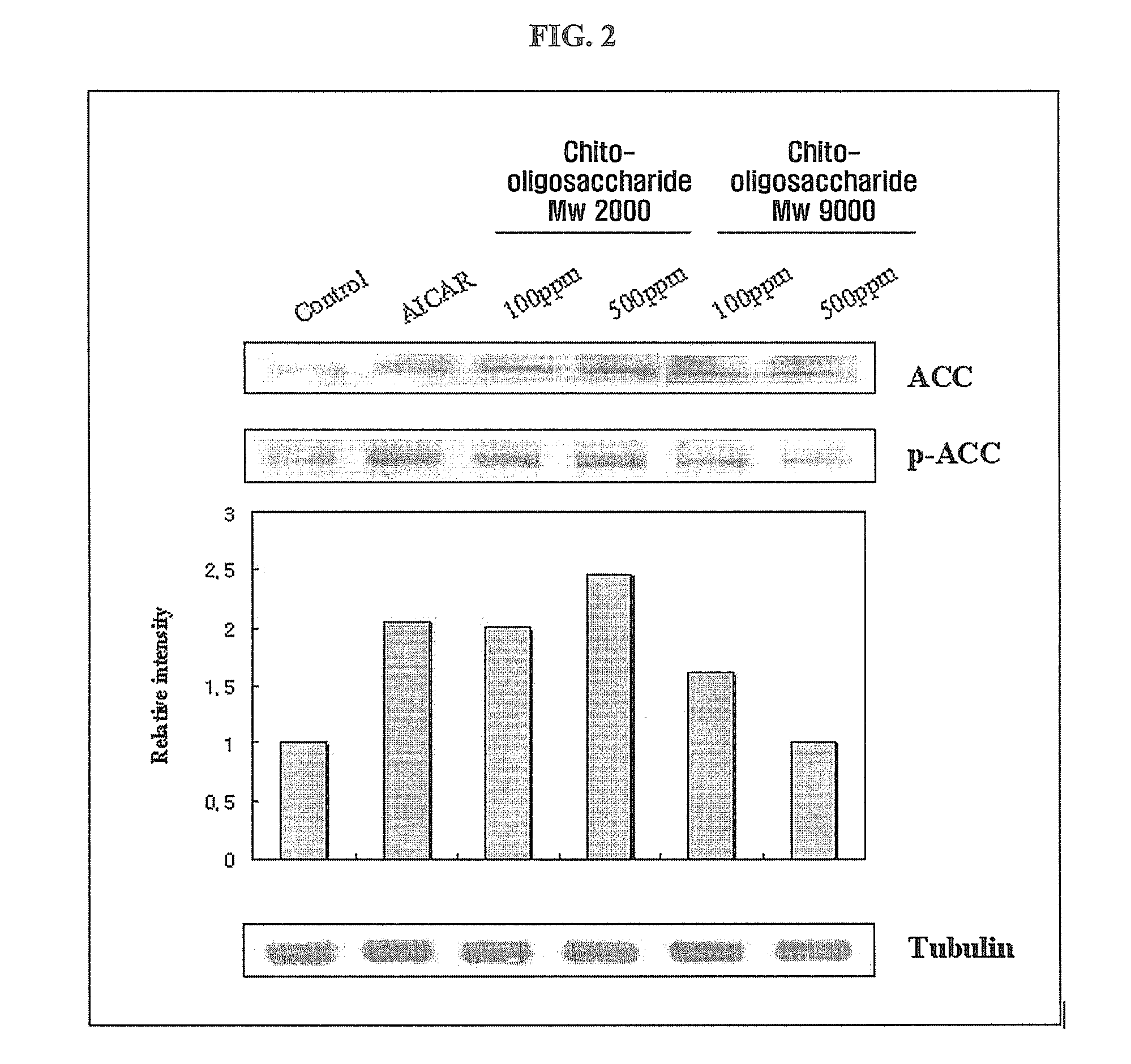 Ampk potentiator containing chito-oligosaccharide