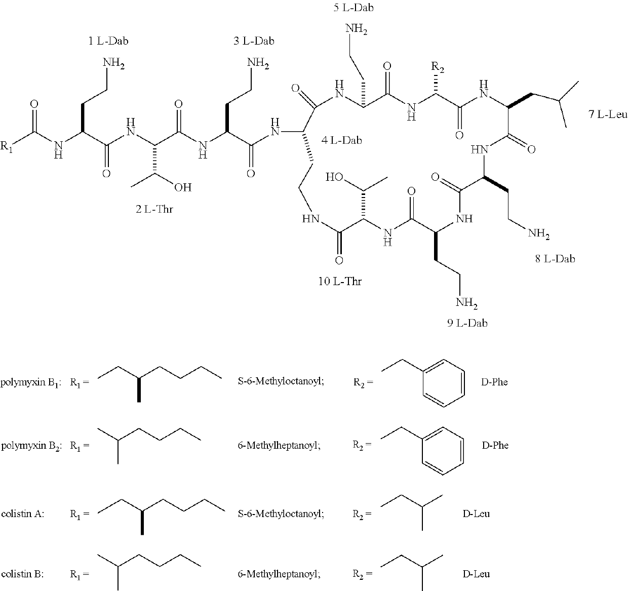 Antimicrobial polymyxin derivative compounds