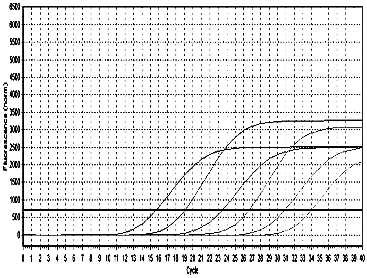 Primers for real-time fluorescent quantitative PCR (polymerase chain reaction) assay of novel pigeon adenovirus EvaGreen